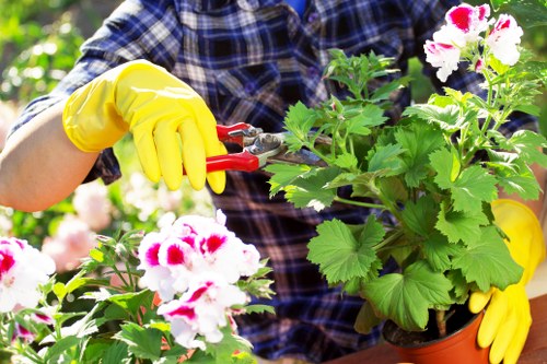 Eco-friendly lawn care practices