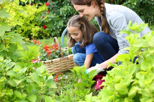 Professional garden clearance service in Clapham