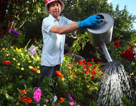 Eco-friendly garden clearance practices
