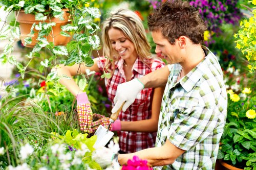 Eco-friendly landscaping features with native plants in Clapham