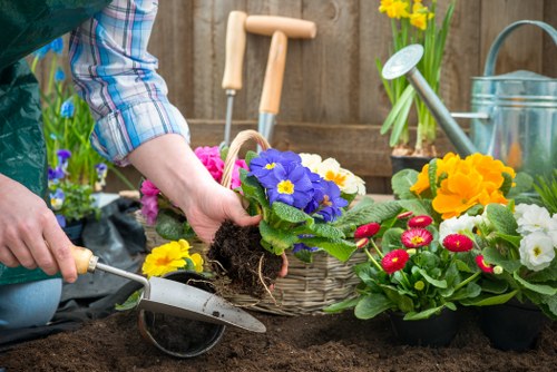 Spring planting in a Clapham garden