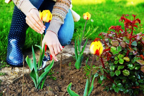 Clapham landscape design with vibrant flowers