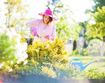 Professional gardener trimming a hedge in Clapham