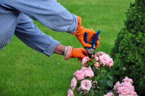 Organic weed control methods in Clapham garden
