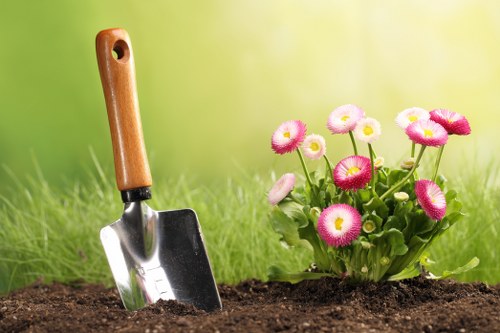 Professional landscapers planning a garden design in Clapham